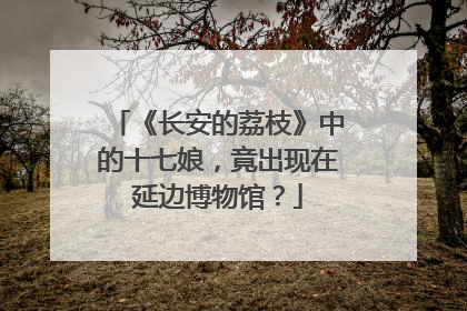 《长安的荔枝》中的十七娘，竟出现在延边博物馆？
