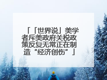 「世界说」美学者斥美政府关税政策反复无常正在制造“经济创伤”