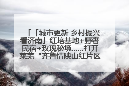 「城市更新 乡村振兴看济南」红培基地+野奢民宿+玫瑰秘境……打开莱芜“齐鲁情映山红片区”的破圈秘籍