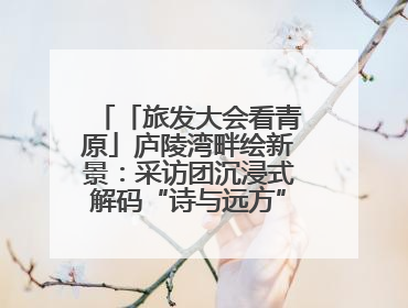 「旅发大会看青原」庐陵湾畔绘新景：采访团沉浸式解码“诗与远方”（图）