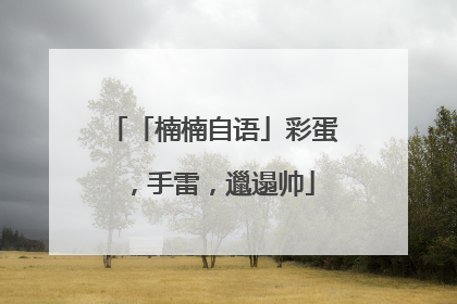 「楠楠自语」彩蛋，手雷，邋遢帅