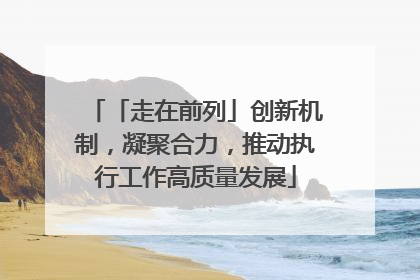 「走在前列」创新机制，凝聚合力，推动执行工作高质量发展