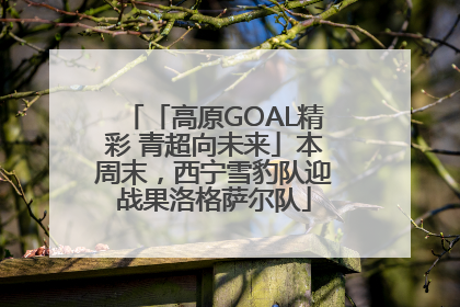 「高原GOAL精彩 青超向未来」本周末，西宁雪豹队迎战果洛格萨尔队
