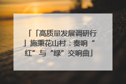 「高质量发展调研行」施秉花山村：奏响“红”与“绿”交响曲