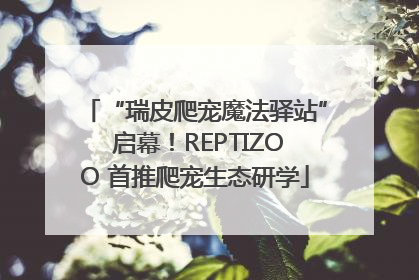 “瑞皮爬宠魔法驿站” 启幕！REPTIZOO 首推爬宠生态研学