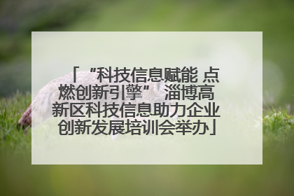 “科技信息赋能 点燃创新引擎” 淄博高新区科技信息助力企业创新发展培训会举办