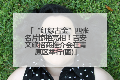 “红绿古金”四张名片惊艳亮相！吉安文旅招商推介会在青原区举行(图)