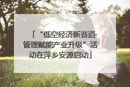 “低空经济新赛道·管理赋能产业升级”活动在萍乡安源启动