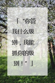 “你管我什么级别，我能抓你的级别！”