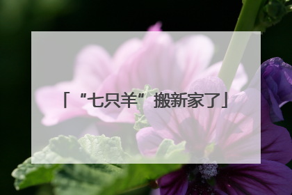 “七只羊”搬新家了