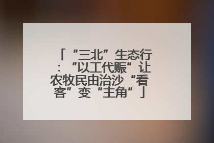 “三北”生态行：“以工代赈”让农牧民由治沙“看客”变“主角”