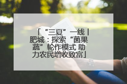 “三夏”一线丨肥城：探索“菌果蔬”轮作模式 助力农民增收致富
