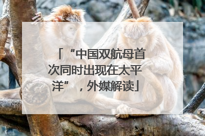 “中国双航母首次同时出现在太平洋”，外媒解读