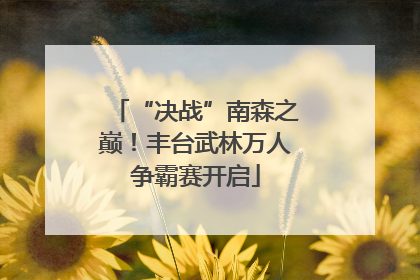 “决战”南森之巅！丰台武林万人争霸赛开启