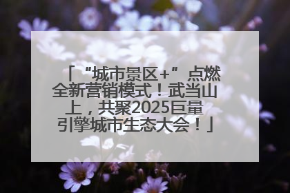 “城市景区+”点燃全新营销模式！武当山上，共聚2025巨量引擎城市生态大会！