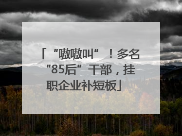 “嗷嗷叫”！多名“85后”干部，挂职企业补短板