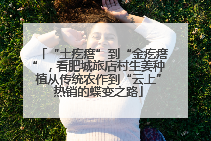“土疙瘩”到“金疙瘩”，看肥城旅店村生姜种植从传统农作到“云上”热销的蝶变之路