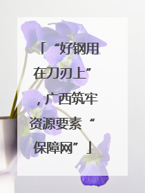 “好钢用在刀刃上”，广西筑牢资源要素“保障网”