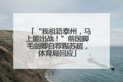 “我祖籍泰州，马上能出战！”前国脚毛剑卿自荐踢苏超，体育局回应
