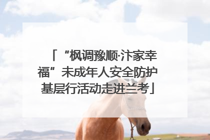 “枫调豫顺·汴家幸福”未成年人安全防护基层行活动走进兰考