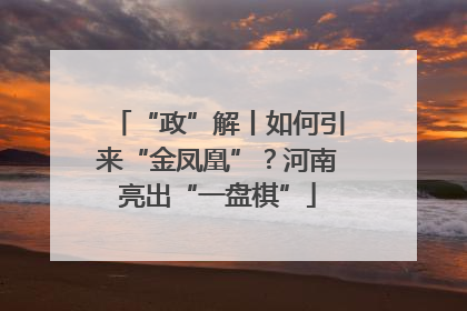 “政”解丨如何引来“金凤凰”？河南亮出“一盘棋”