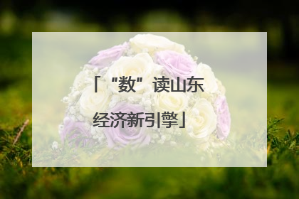 “数”读山东经济新引擎