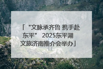 “文脉承齐鲁 携手赴东平” 2025东平湖文旅济南推介会举办
