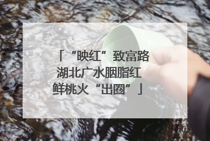 “映红”致富路 湖北广水胭脂红鲜桃火“出圈”