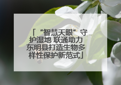 “智慧天眼”守护湿地 联通助力东明县打造生物多样性保护新范式