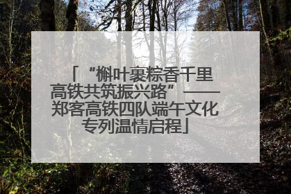 “槲叶裹粽香千里 高铁共筑振兴路”——郑客高铁四队端午文化专列温情启程