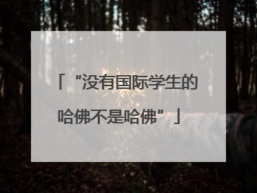 “没有国际学生的哈佛不是哈佛”
