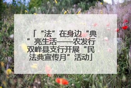 “法”在身边“典”亮生活——农发行双峰县支行开展“民法典宣传月”活动