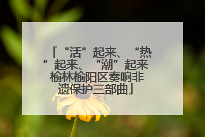 “活”起来、“热”起来、“潮”起来 榆林榆阳区奏响非遗保护三部曲