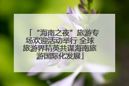 “海南之夜”旅游专场欢迎活动举行 全球旅游界精英共谋海南旅游国际化发展