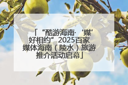“酷游海南·‘媒’好相约”2025百家媒体海南（陵水）旅游推介活动启幕