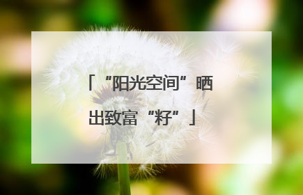 “阳光空间”晒出致富“籽”