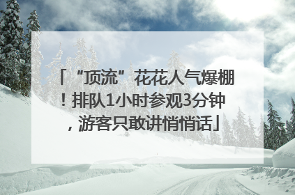 “顶流”花花人气爆棚！排队1小时参观3分钟，游客只敢讲悄悄话