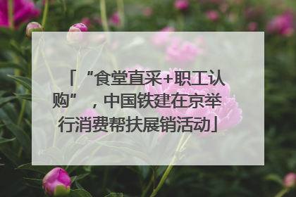 “食堂直采+职工认购”，中国铁建在京举行消费帮扶展销活动