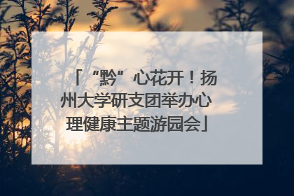“黔”心花开！扬州大学研支团举办心理健康主题游园会