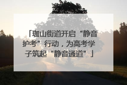 珈山街道开启“静音护考”行动，为高考学子筑起“静音通道”
