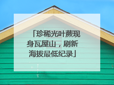 珍稀光叶蕨现身瓦屋山，刷新海拔最低纪录