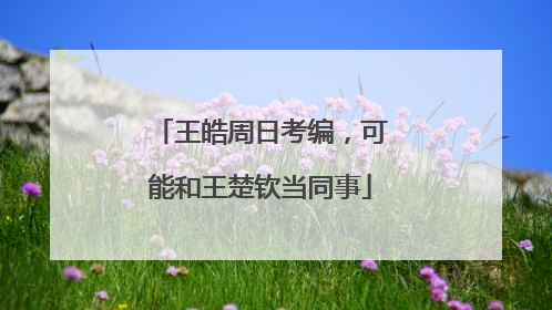 王皓周日考编，可能和王楚钦当同事