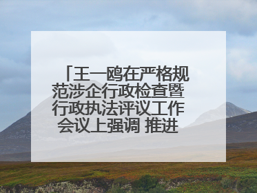 王一鸥在严格规范涉企行政检查暨行政执法评议工作会议上强调 推进涉企行政检查质效大幅提升