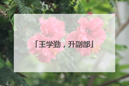 王学勤，升副部
