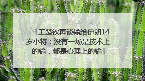 王楚钦再谈输给伊朗14岁小将：没有一场是技术上的输，都是心理上的输