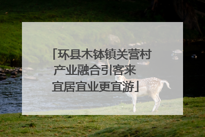 环县木钵镇关营村 产业融合引客来 宜居宜业更宜游
