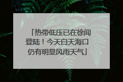 热带低压已在徐闻登陆！今天白天海口仍有明显风雨天气