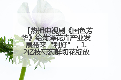 热播电视剧《国色芳华》给菏泽花卉产业发展带来“利好”，1.2亿枝芍药鲜切花绽放“国色芳华”