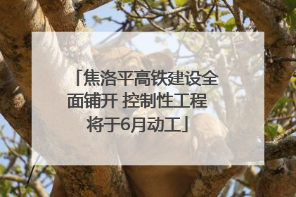 焦洛平高铁建设全面铺开 控制性工程将于6月动工
