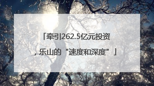 牵引262.5亿元投资，乐山的“速度和深度”